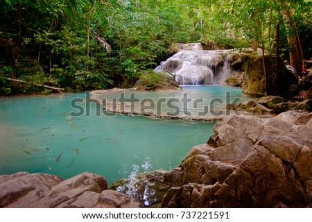 falls in the jungle with small fishes in green water.