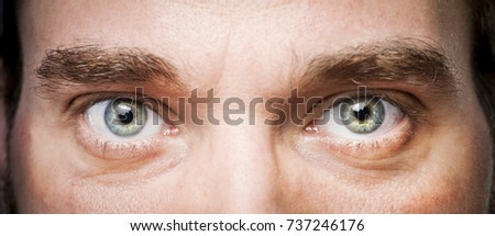 it's all in the eyes Royalty-Free Stock Photo #737246176