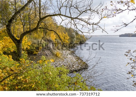 autumn colored trees background pattern by the river with water texture in sunny day