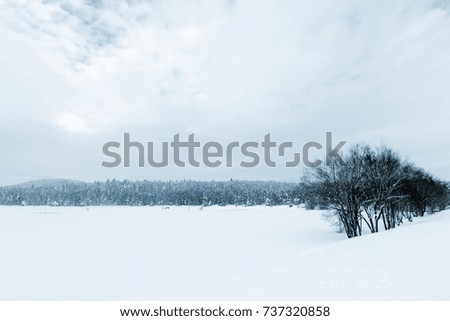 View of Winter frozen lake with pine forest at a cloudy dull day