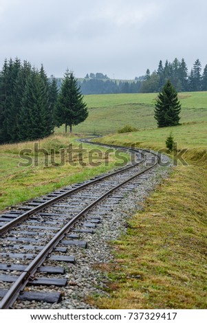 wavy railroad tracks in wet summer day in forest with green meadow on horizon