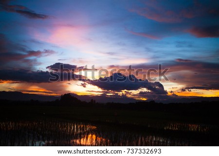 Twilight , sunset , sunrise on rice fields