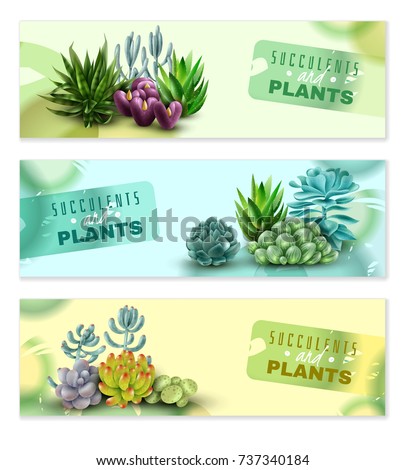 Set of three horizontal banners with succulents and plants with watercolor stains on a white background. Succulents banners. Vector illustration
