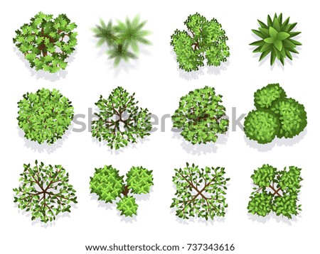 Top view tree collection - green foliage isolated on white background. Green plant top, nature tree collection illustration vector Royalty-Free Stock Photo #737343616