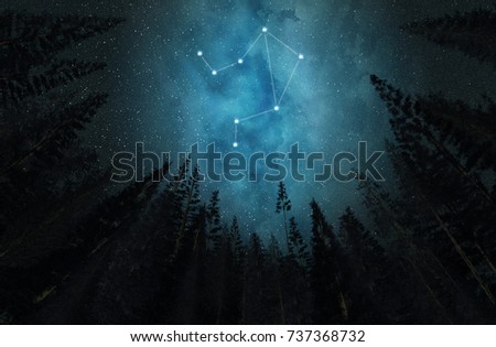 Constellation Libra. Night sky. Stars. Night in the forest.