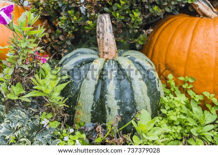 Green and Orange Halloween Pumpkin