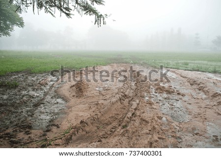 Dirt road with fog in morning background