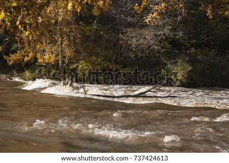 Autumn landscape with colorful trees and river rapids in sunlight.