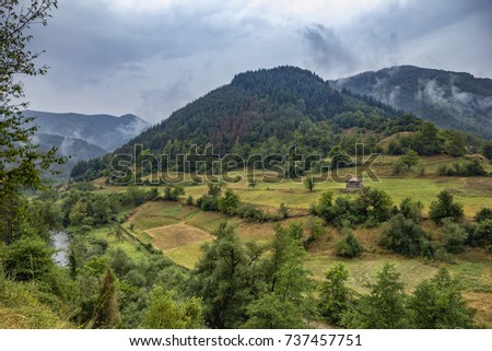 Summer mountain landscape after rain with mist , green meadows and rural house