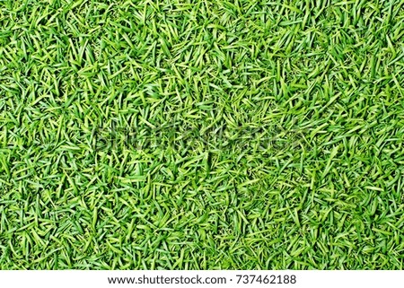  artificial grass background.
