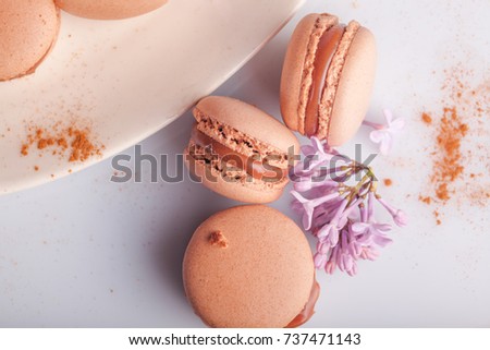 French cinnamon chocolate macaroon cookies with white plate and flowers