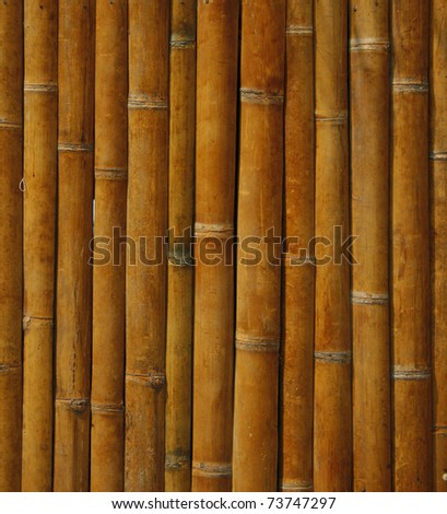 Close-up bamboo background texture with columns