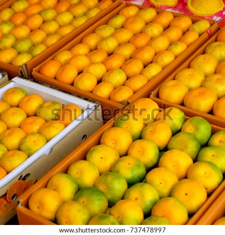 Fresh tangerines in a street market Royalty-Free Stock Photo #737478997