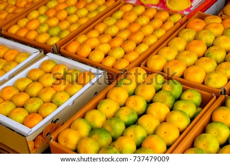Fresh tangerines in a street market Royalty-Free Stock Photo #737479009
