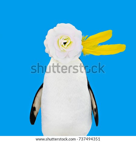 Fun Art Collage Penguin and Flowers. Contemporary minimal art