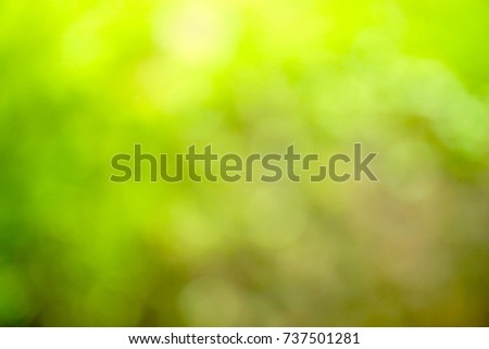 Beautiful abstract green blur on natural background. Light and plant with soft bokeh. Copy space for any text. Feel fresh. Can be use for brochure, web, advertising. Royalty-Free Stock Photo #737501281