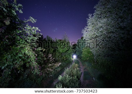 Road leading to the light under the starry sky. Night landscape. The concept of a path, movement, purpose.