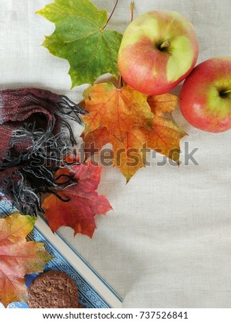 Autumn background with apples, purple and grey checkered scarf, chocolate cookies, blue book and autumn leaves on a neutral cotton cloth, top view