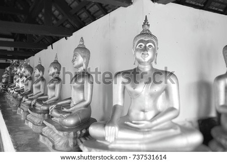 Row of Buddha statue in Temple of Thailand. This image was blurred or selective focus. Black and white picture.