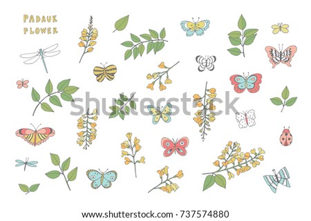 Padauk national flower of Myanmar with butterflies cartoon doodle vector seamless pattern.