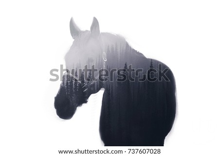 Double exposure horse photo
