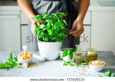 Woman in style apron holding pot with fresh organic basil, white kitchen interior design. Copy space. Lifestyle concept Royalty-Free Stock Photo #737608135