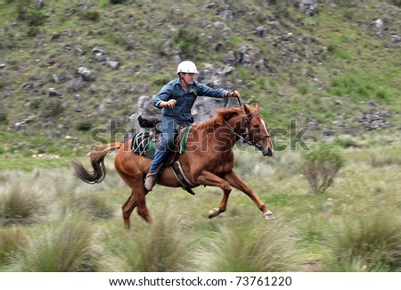 horse ridding in the green outback