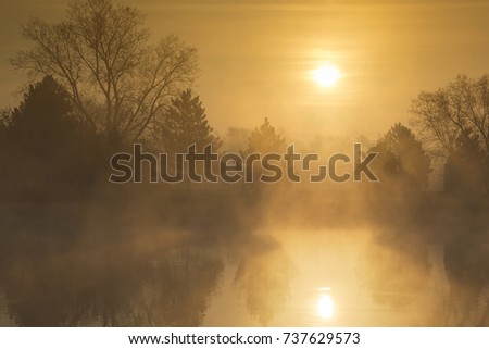This sunrise on a calm, foggy spring morning was picture perfect with its layers of golden mist and faded shadows.  