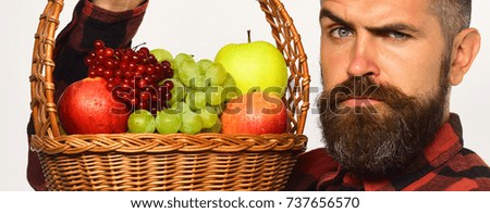 Man with beard holds basket with fruit on white background. Autumn harvest concept