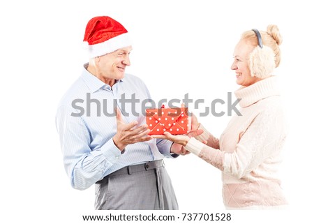 Portrait of cute senior couple celebrating Christmas