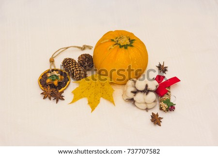 Still-life zucchini type "orange" cones and yellow maple leaf and artificial cotton and baden stars toned picture close-up shallow depth of field