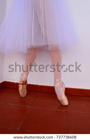 Ballerina's legs with pointe shoes