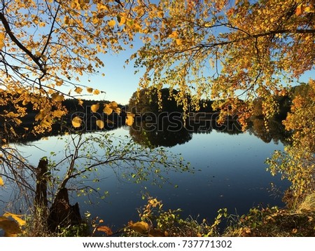 Autumn at the lake Herta
The lake is located in the administrative district Leipzig in the federal state of Saxony.
This photo is not edited. It arose in the late afternoon of early October of  2017
