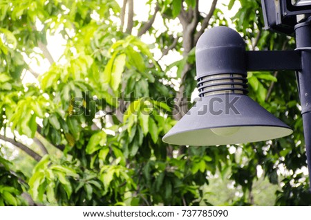electric lamp in the garden