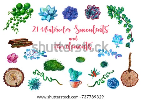 Watercolor seamless pattern texture - succulents plants clip art. Perfect for Wedding invitation, greeting card, postcard, poster, textile, print, cover