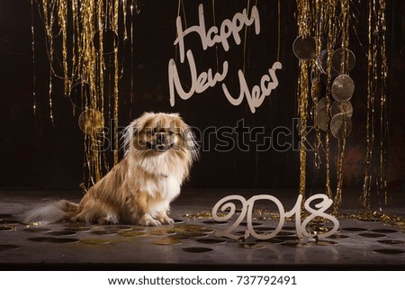 Gold dog symbol, 2018 New Year. Pekingese