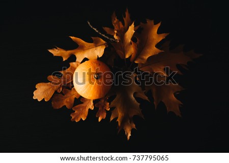 Fall colors, autumn leaves and pumpkin on a black background