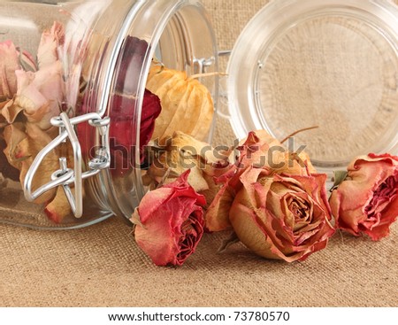  Detail buds of dry roses in glass bottle on jute background