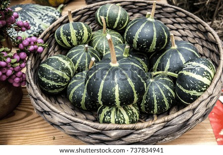 Rural natural background made from decorative striped pumpkins lying in a wicker basket.
