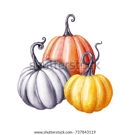 colorful pumpkins, Thanksgiving watercolor illustration, autumn harvest, botanical fall decor, festive clip art isolated on white background