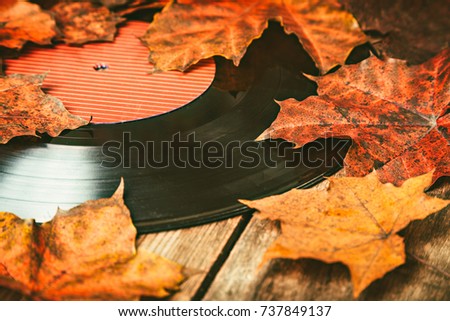 Gramplastine on fallen autumn foliage. Royalty-Free Stock Photo #737849137