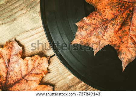 Gramplastine on fallen autumn foliage. Royalty-Free Stock Photo #737849143