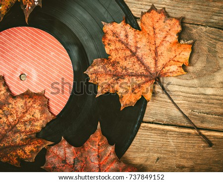 Gramplastine on fallen autumn foliage. Royalty-Free Stock Photo #737849152