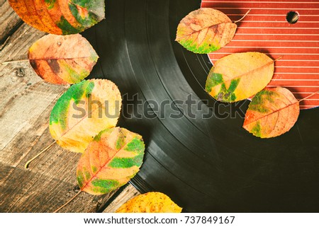 Gramplastine on fallen autumn foliage. Royalty-Free Stock Photo #737849167