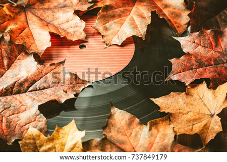 Gramplastine on fallen autumn foliage. Royalty-Free Stock Photo #737849179