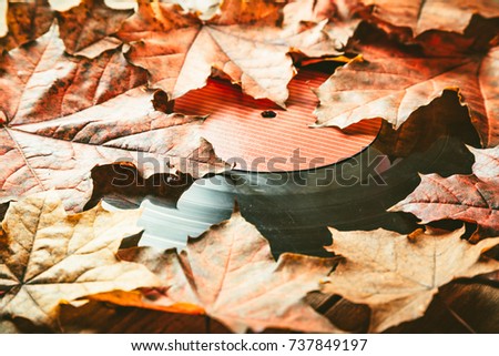 Gramplastine on fallen autumn foliage. Royalty-Free Stock Photo #737849197