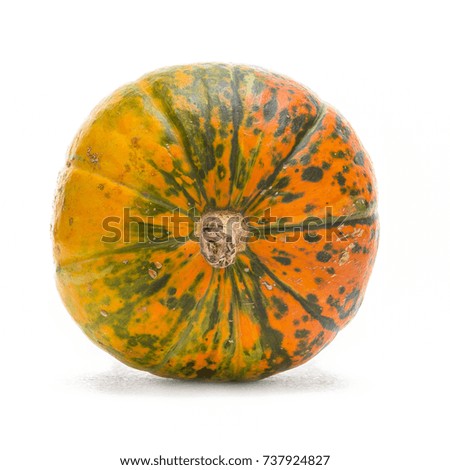 Natural Yellowish Pumpkin with Long Stem Over Pure white Background. Laid on Side. Square Image