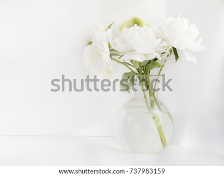 White peony in glass vase on white background Royalty-Free Stock Photo #737983159