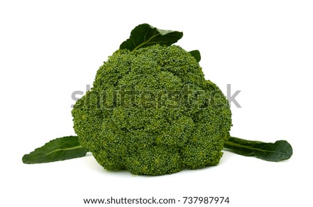 Fresh Broccoli vegetable isolated on white background