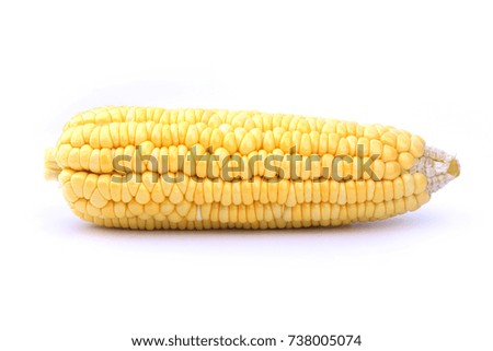 Corn peeled isolated on white background